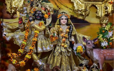 40th Anniversary Festival of Sri Sri Radha Govinda